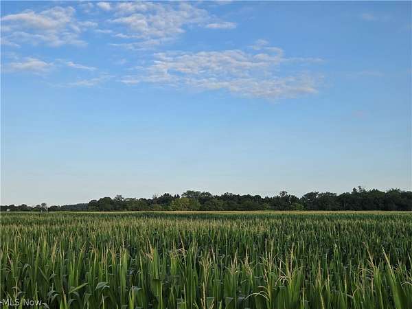 65.1 Acres of Agricultural Land for Sale in La Rue, Ohio
