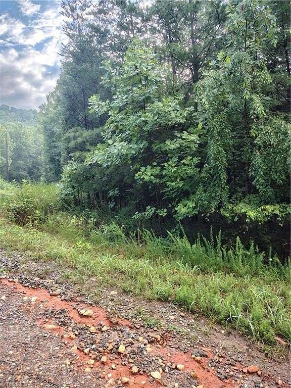 0.5 Acres of Residential Land for Sale in Cana, Virginia