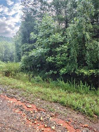 0.5 Acres of Residential Land for Sale in Cana, Virginia
