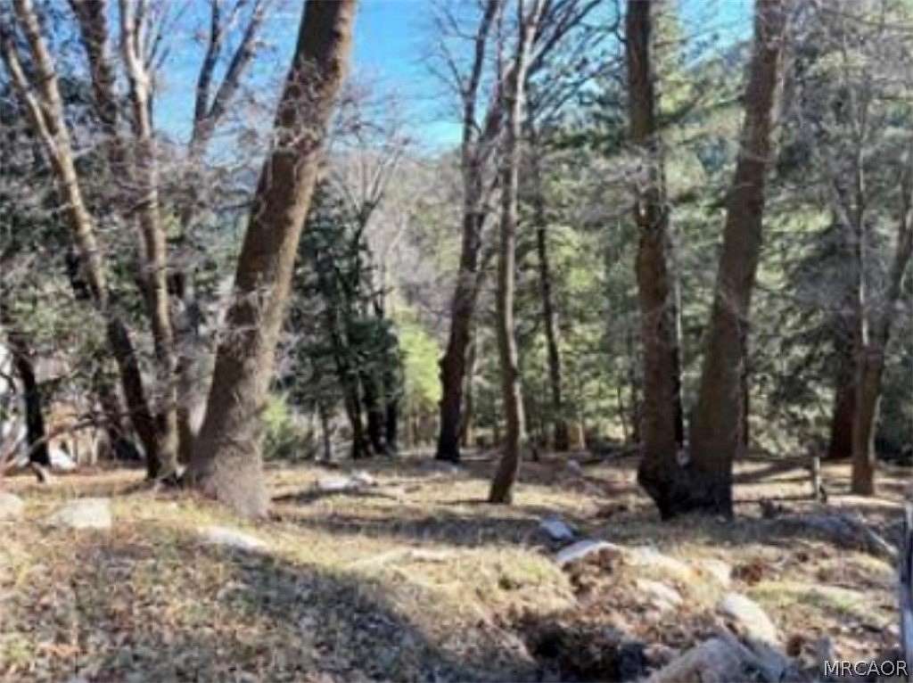 0.25 Acres of Residential Land for Sale in Cedar Glen, California