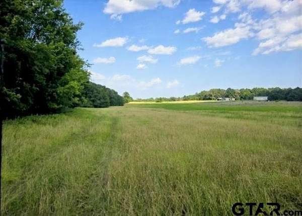 39.1 Acres of Land for Sale in Henderson, Texas