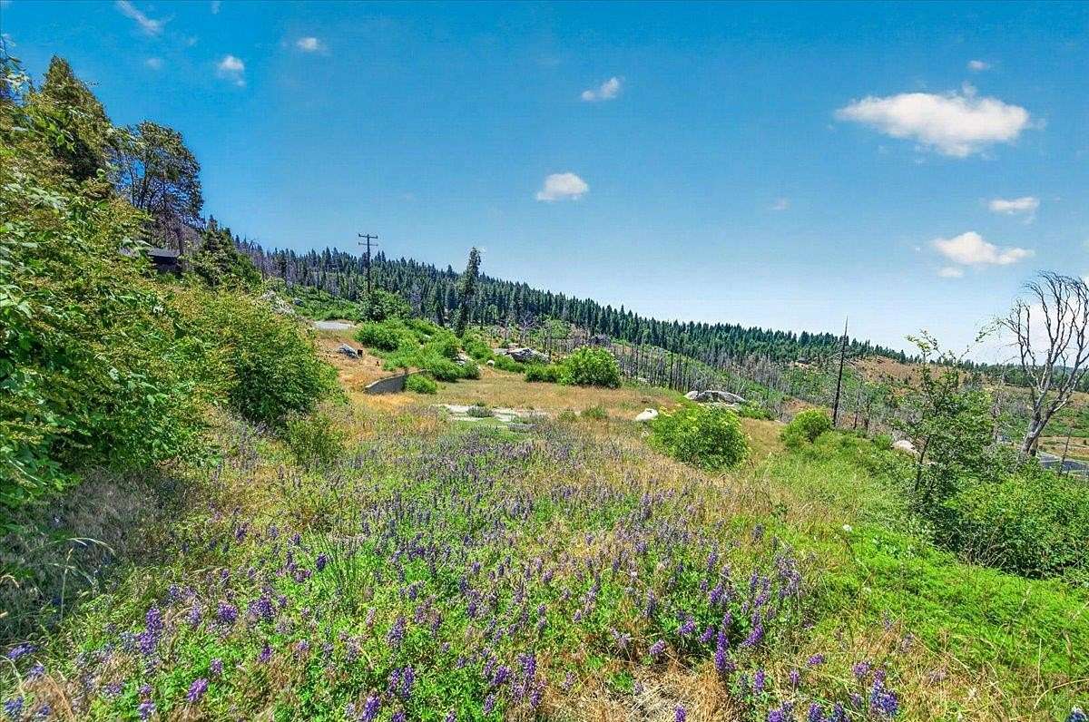 5.15 Acres of Residential Land for Sale in Shaver Lake, California