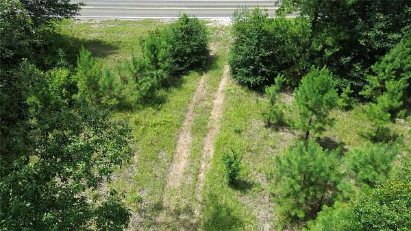 8 Acres of Residential Land for Sale in Newton, Texas