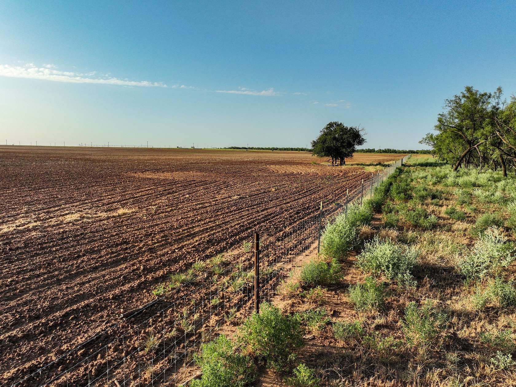 80 Acres of Land for Sale in Knox City, Texas