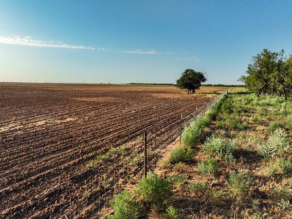 80 Acres of Land for Sale in Knox City, Texas