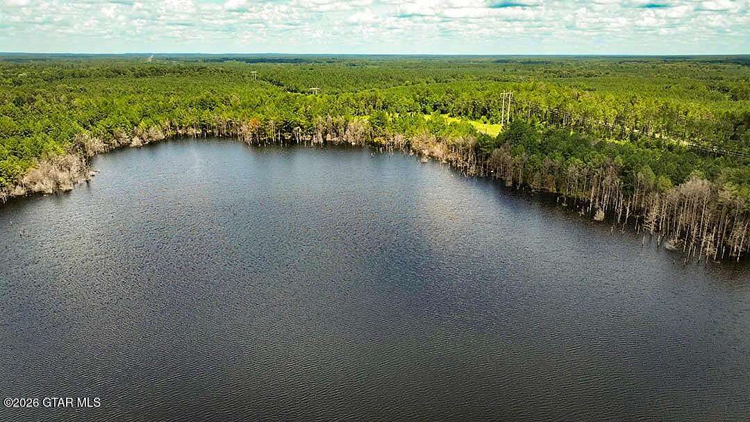 275 Acres of Recreational & Residential Land for Sale in York, Alabama