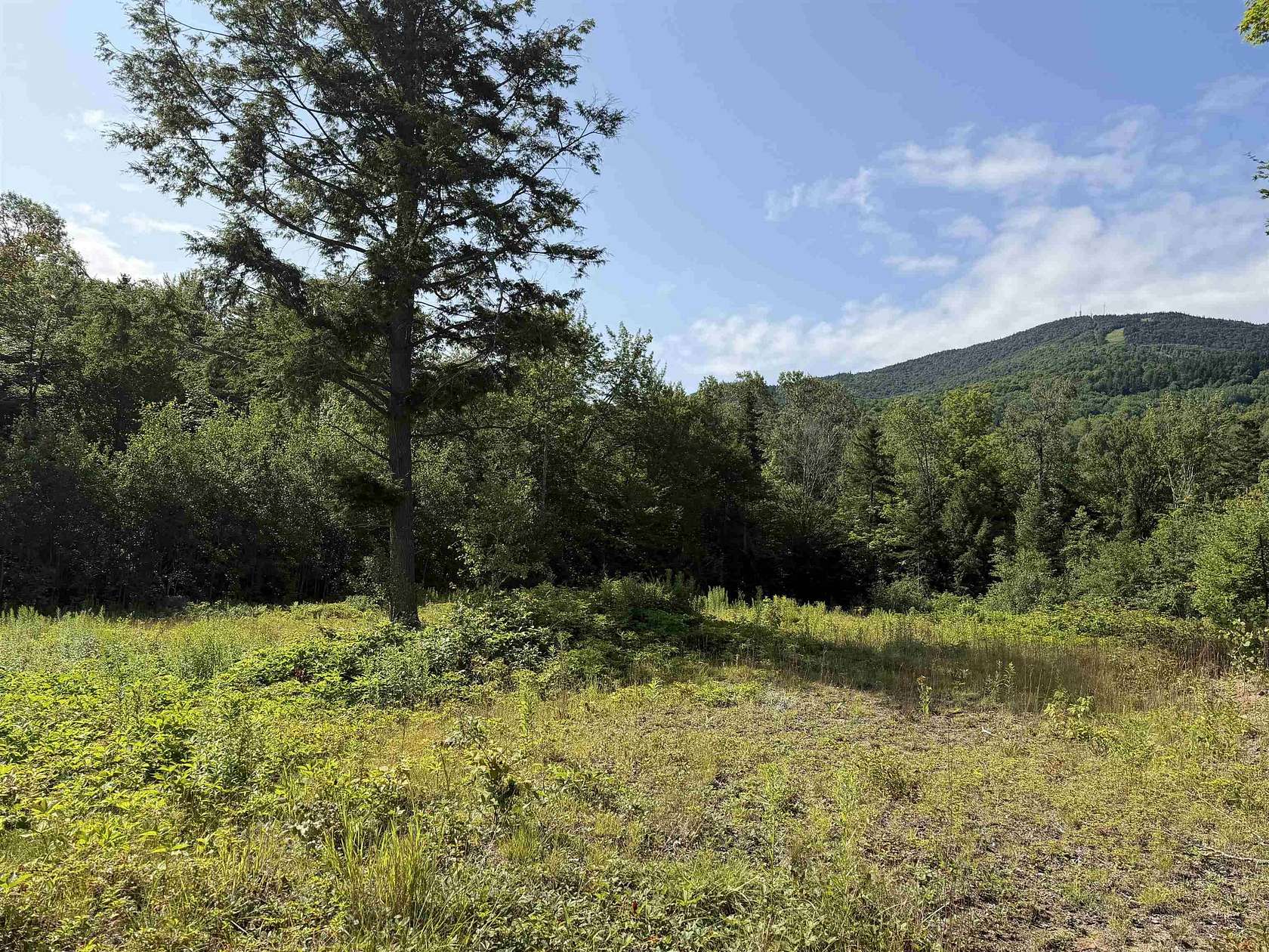 8.9 Acres of Land for Sale in Burke Town, Vermont