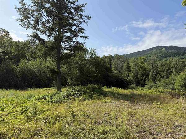 8.9 Acres of Land for Sale in Burke Town, Vermont