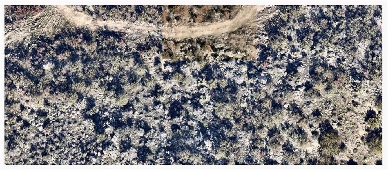 1 Acre of Residential Land for Sale in Mountain Center, California