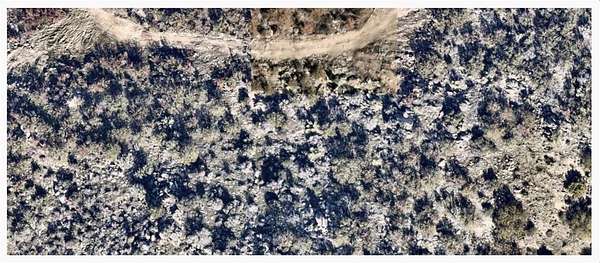 1 Acre of Residential Land for Sale in Mountain Center, California