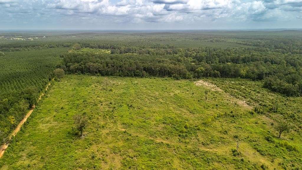 17 Acres of Recreational & Residential Land for Sale in Tenaha, Texas