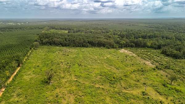 17 Acres of Recreational & Residential Land for Sale in Tenaha, Texas