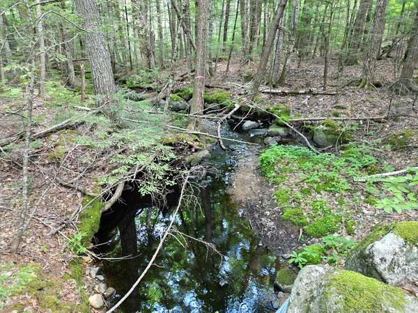 13 Acres of Recreational Land for Sale in Burlington, Maine