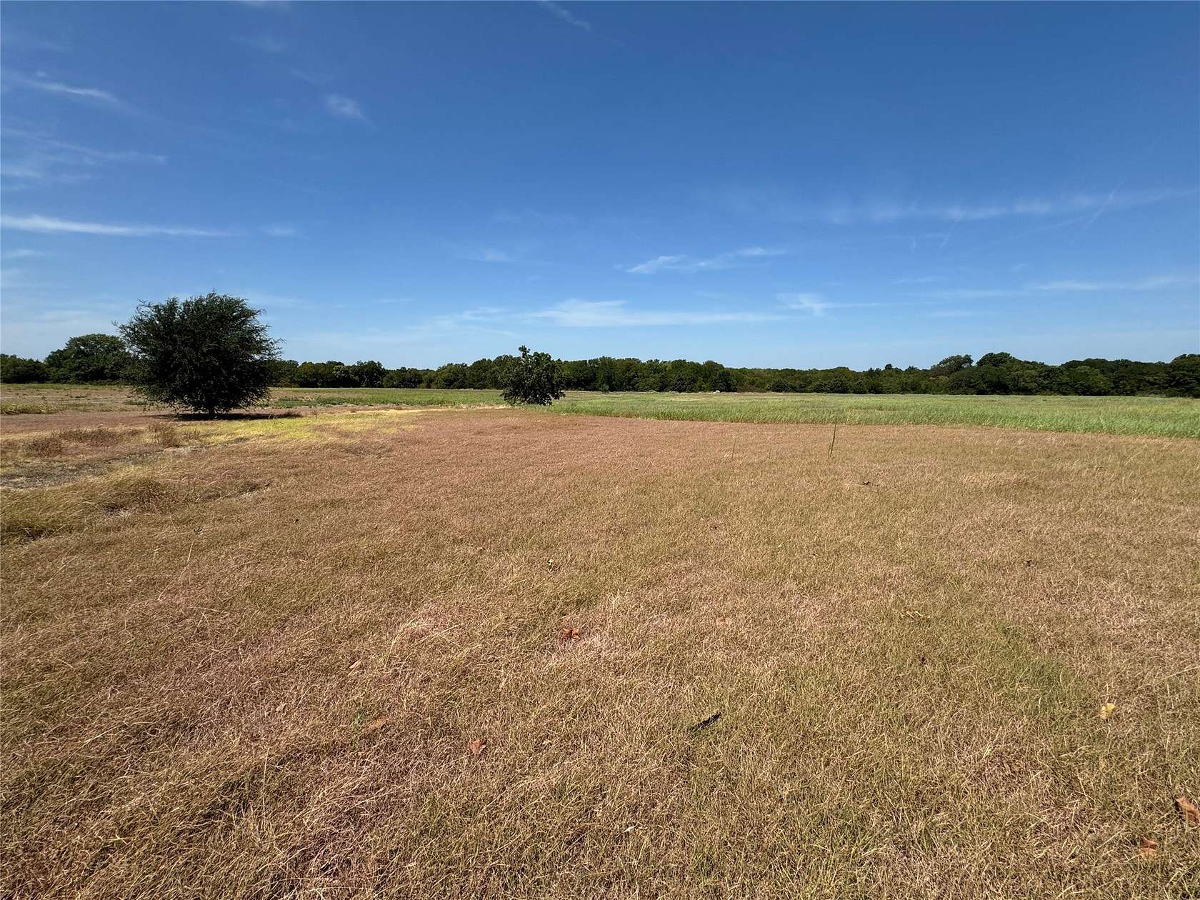 17.3 Acres of Land for Sale in Ennis, Texas