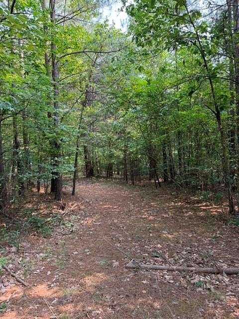 65 Acres of Recreational Land for Sale in Dillwyn, Virginia
