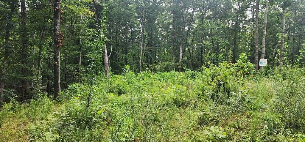 1.24 Acres of Residential Land for Sale in Sugar Tree, Tennessee