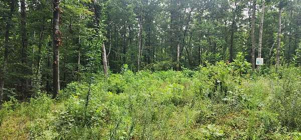 1.24 Acres of Residential Land for Sale in Sugar Tree, Tennessee