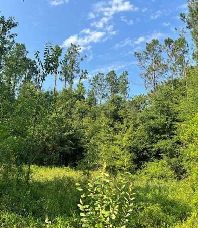 2.72 Acres of Residential Land for Sale in Lake City, Florida