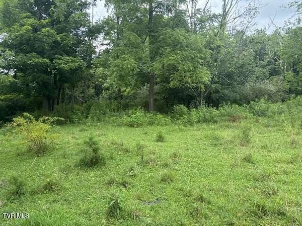 48.8 Acres of Improved Agricultural Land for Sale in Bristol, Tennessee