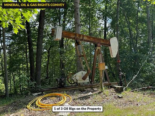 704 Acres of Land for Sale in Allred, Tennessee