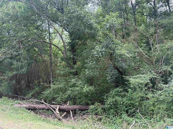 10 Acres of Land for Sale in Birmingham, Alabama