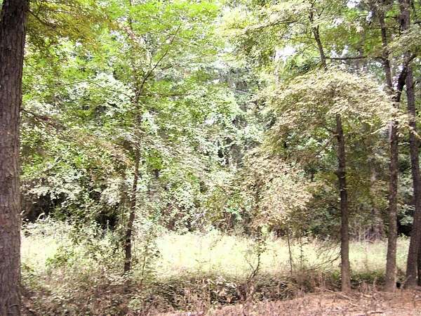 39.9 Acres of Recreational Land for Sale in Ashdown, Arkansas