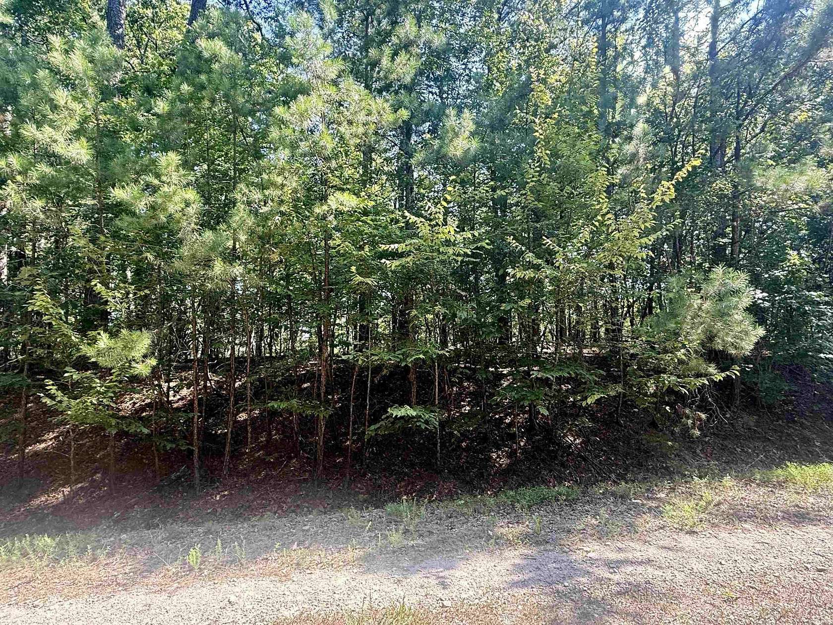 0.32 Acres of Land for Sale in Hot Springs Village, Arkansas