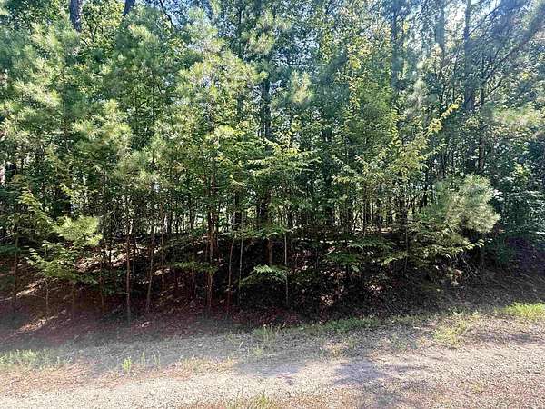 0.32 Acres of Land for Sale in Hot Springs Village, Arkansas