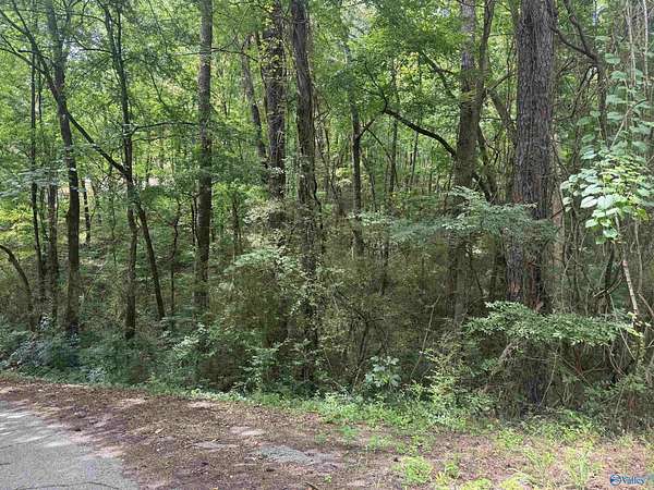 0.67 Acres of Land for Sale in Glencoe, Alabama