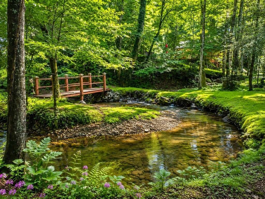 2.46 Acres of Land with Home for Sale in Ellijay, Georgia