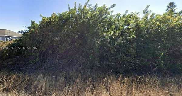 0.25 Acres of Residential Land for Sale in Lehigh Acres, Florida