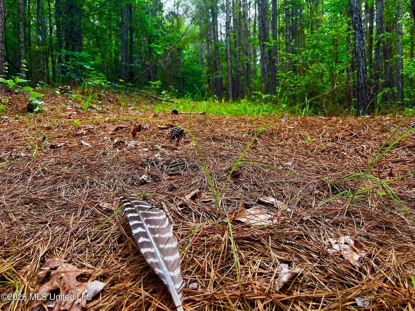10.4 Acres of Recreational & Residential Land for Sale in Brookhaven, Mississippi