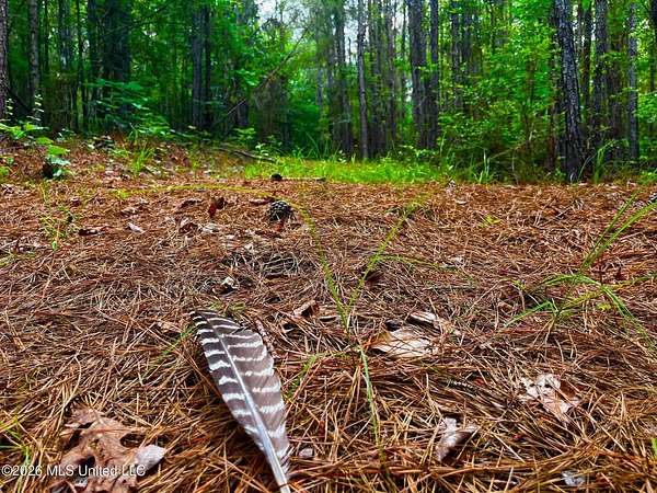 10.4 Acres of Recreational & Residential Land for Sale in Brookhaven, Mississippi