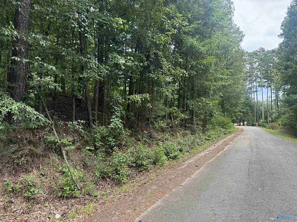 0.87 Acres of Residential Land for Sale in Glencoe, Alabama