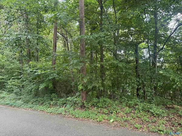 0.48 Acres of Residential Land for Sale in Gadsden, Alabama