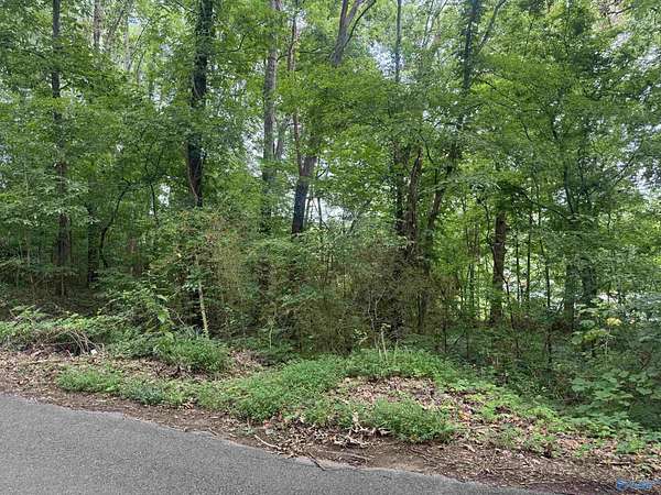 0.65 Acres of Residential Land for Sale in Gadsden, Alabama