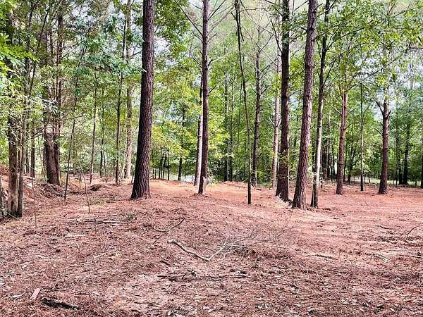 2.68 Acres of Residential Land for Sale in Oxford, Mississippi