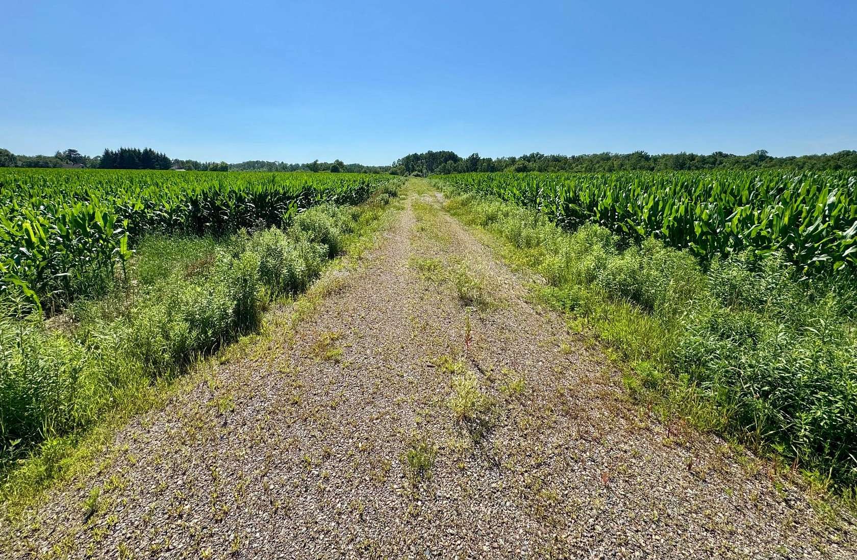 32.5 Acres of Land for Sale in Milaca, Minnesota