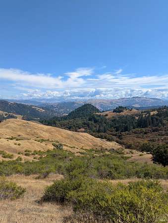 20 Acres of Recreational & Residential Land for Sale in Leggett, California