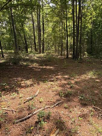 1.59 Acres of Residential Land for Sale in Santee, South Carolina