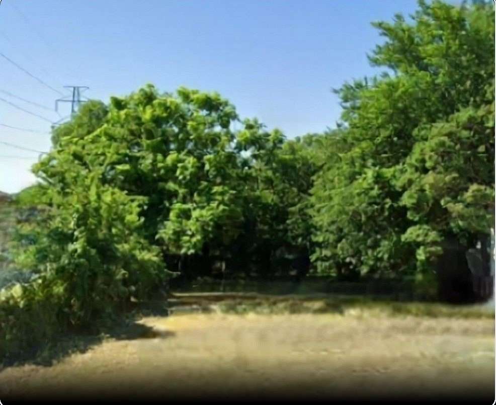 0.11 Acres of Land for Sale in Dallas, Texas