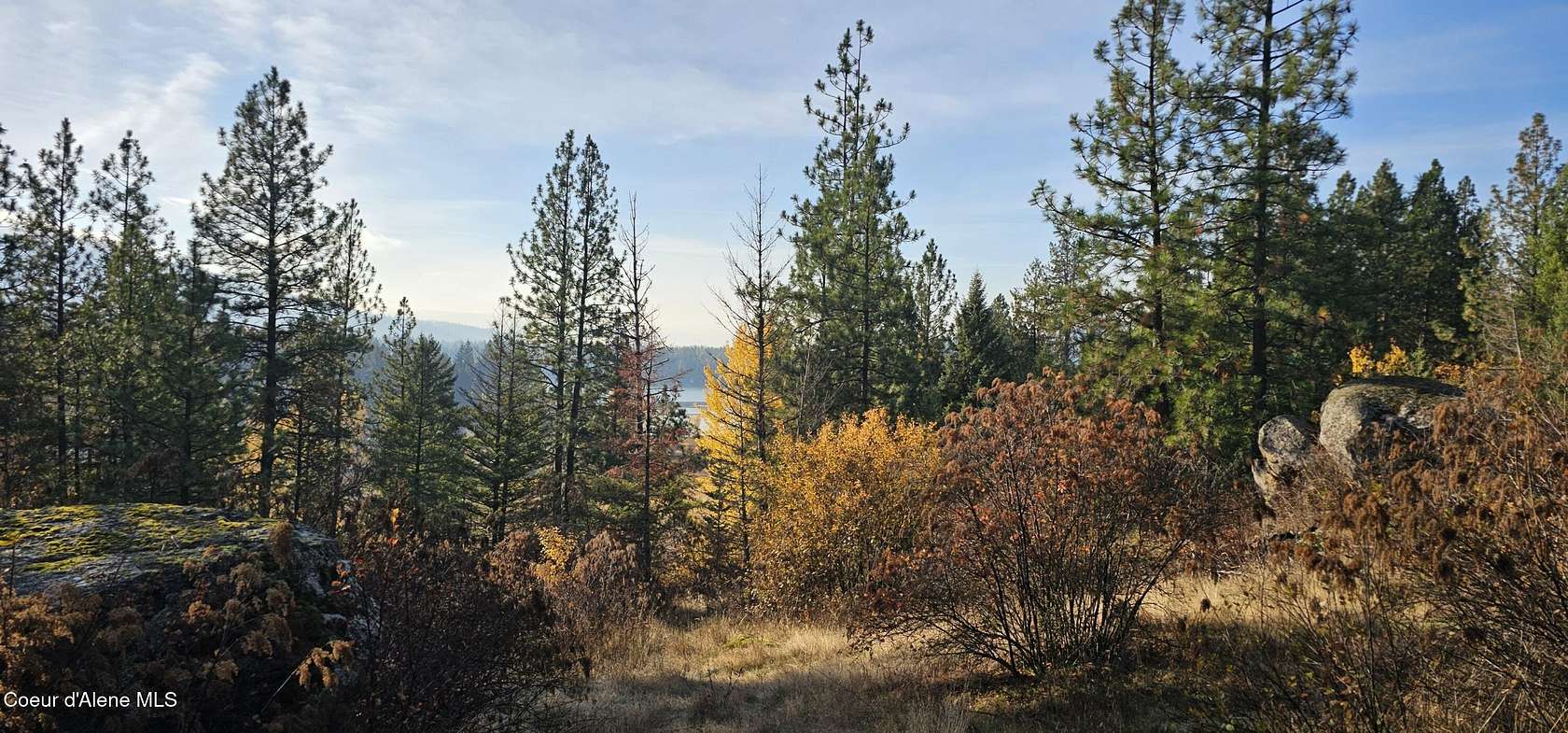 10.1 Acres of Recreational & Residential Land for Sale in Priest River, Idaho