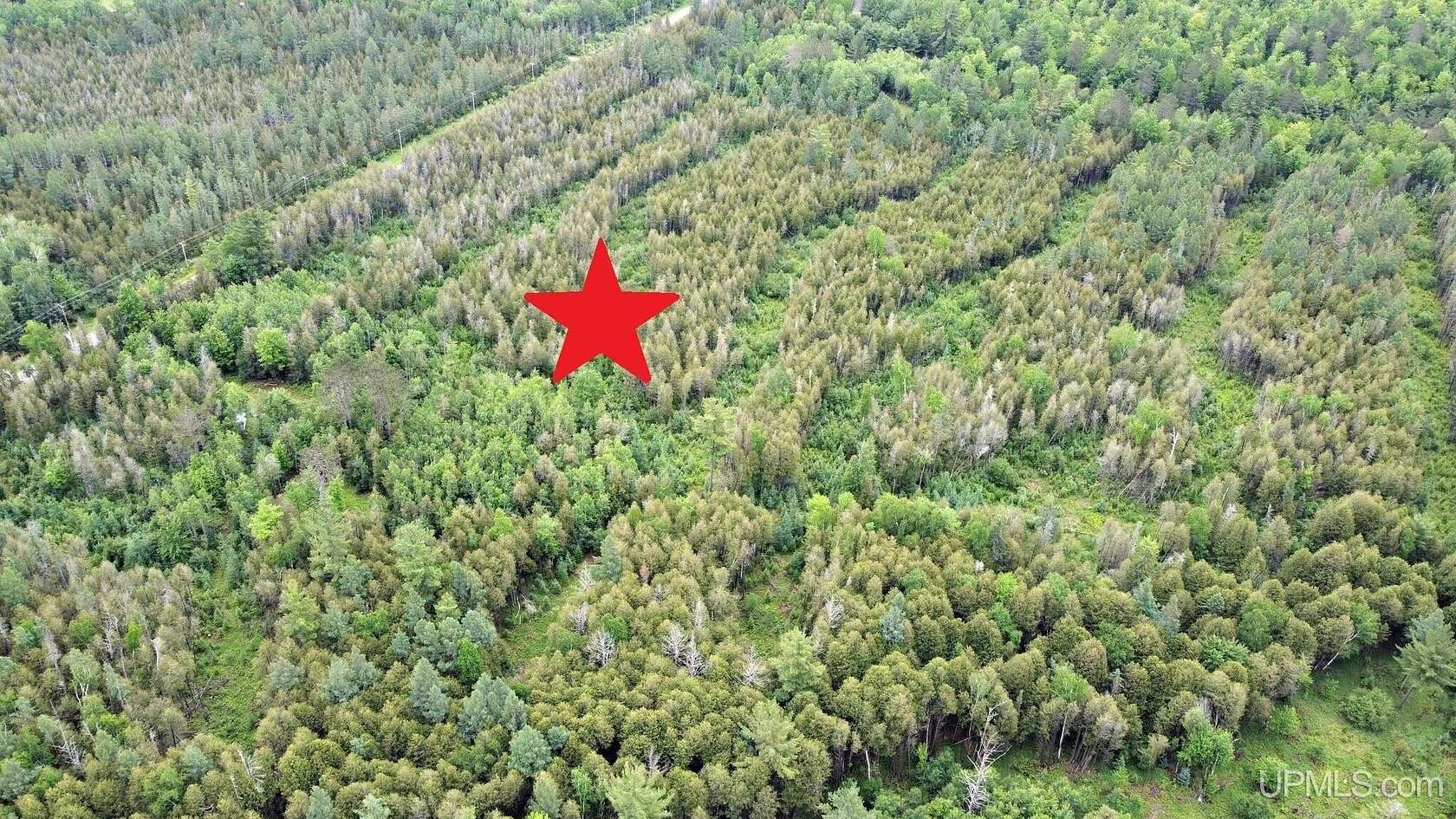 40.1 Acres of Recreational & Residential Land for Sale in Niagara Town, Wisconsin