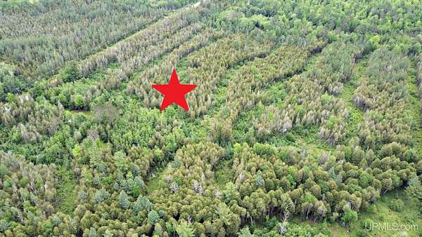 40.1 Acres of Recreational & Residential Land for Sale in Niagara Town, Wisconsin