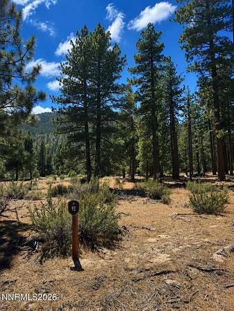 0.6 Acres of Residential Land for Sale in Carson City, Nevada