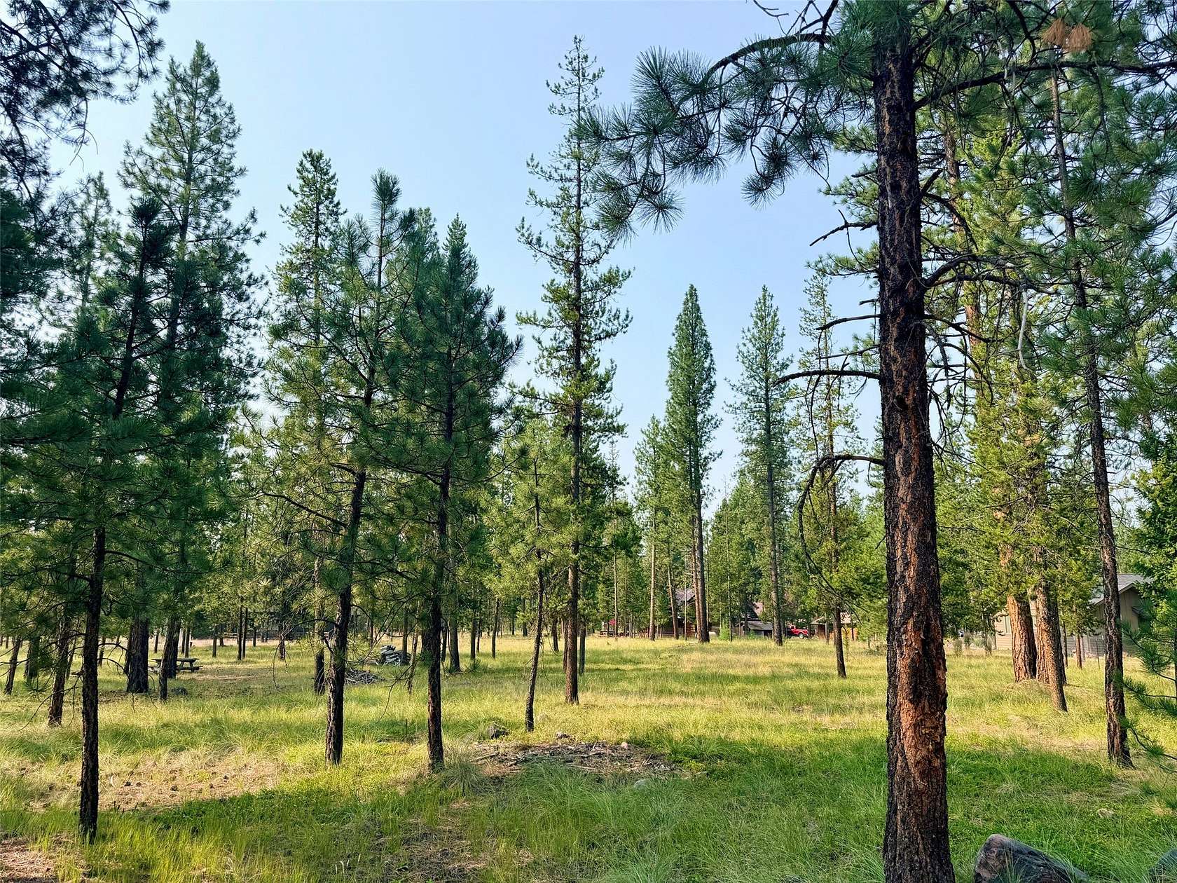 1.2 Acres of Residential Land for Sale in Seeley Lake, Montana