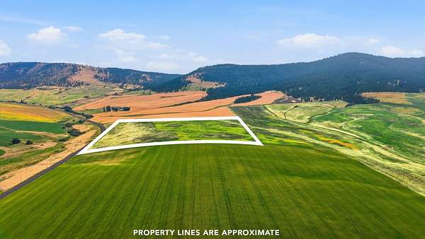 39.5 Acres of Land for Sale in Latah, Washington