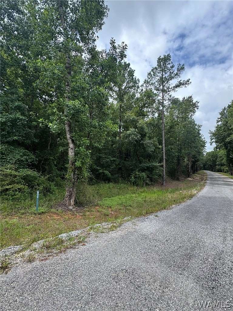 15.3 Acres of Land for Sale in Duncanville, Alabama