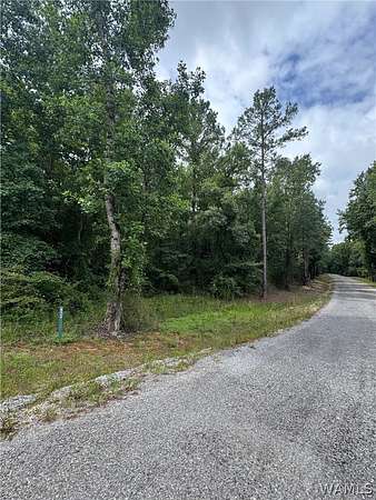 15.3 Acres of Land for Sale in Duncanville, Alabama