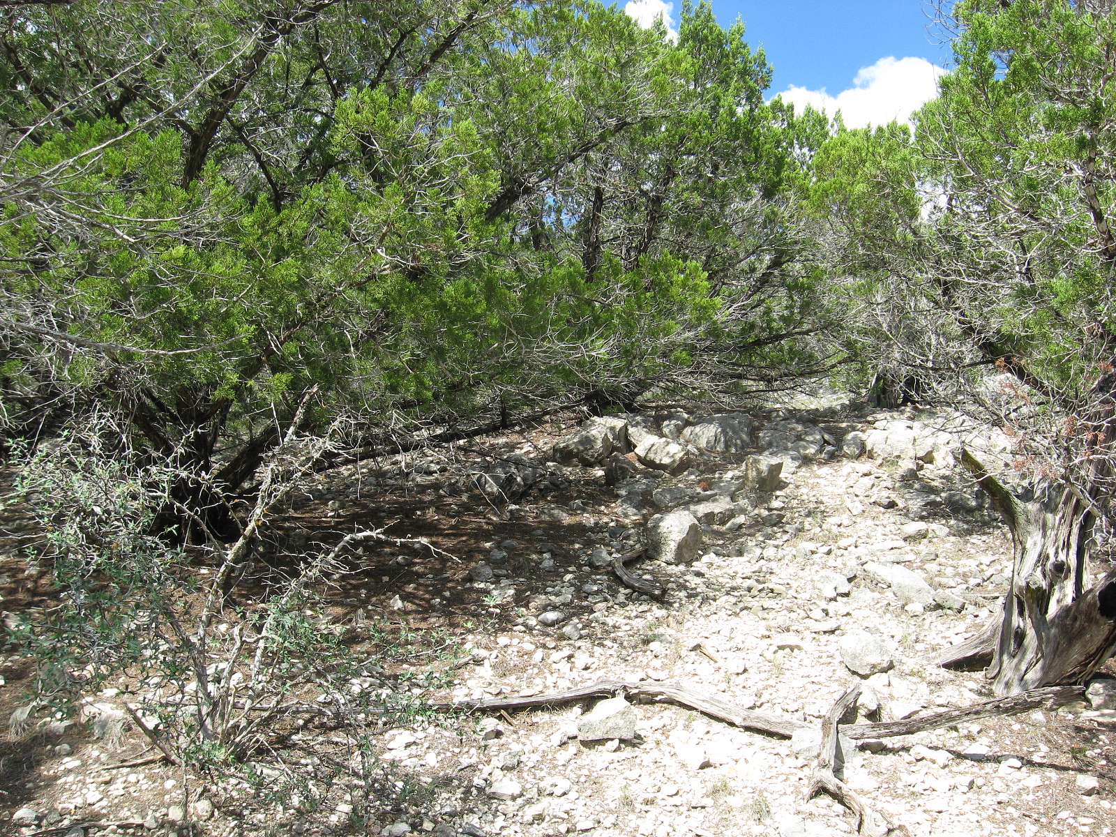 10 Acres of Land for Sale in Medina, Texas
